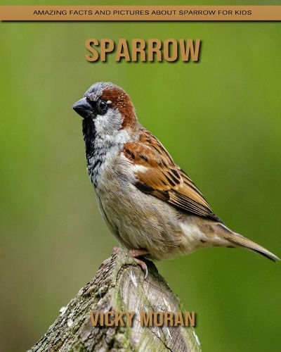 Sparrow