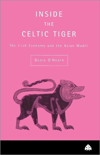 Inside the Celtic Tiger: (Contemporary Irish Studies)