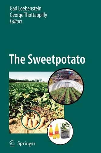 The Sweetpotato