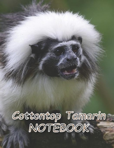 Cottontop Tamarin NOTEBOOK