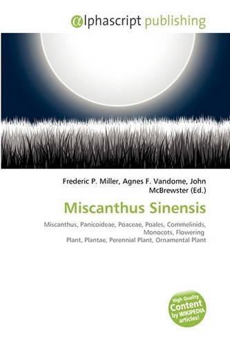Miscanthus Sinensis