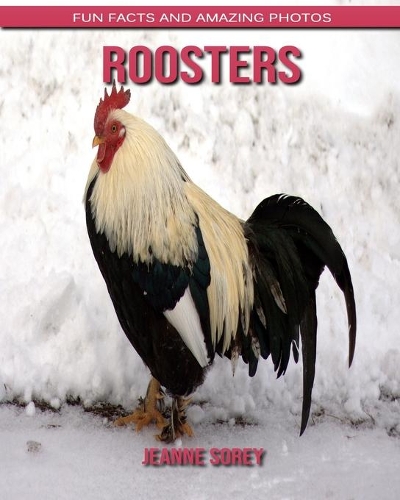 Roosters: Fun Facts and Amazing Photos