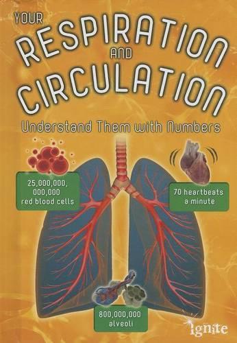 Your Respiration and Circulation