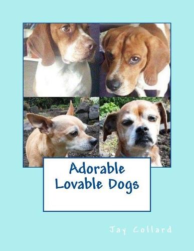 Adorable Lovable Dogs