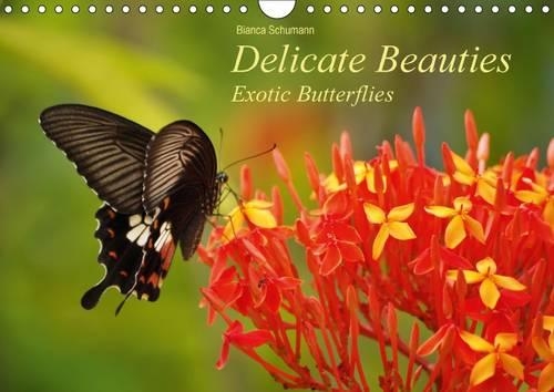 Delicate Beauties Exotic Butterflies / UK-Version 2015