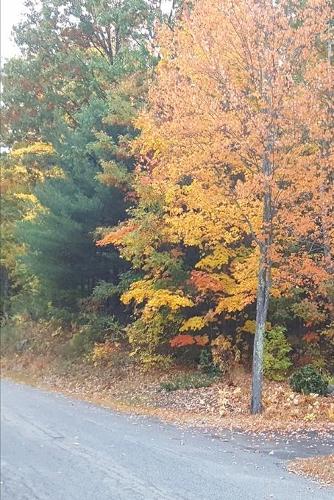 2020 Weekly Planner Rural Road Rustic Fall Colors 134 Pages