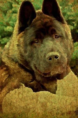 Akita: Artified Pets Journal/Notebook/Diary 160 Pages(English)