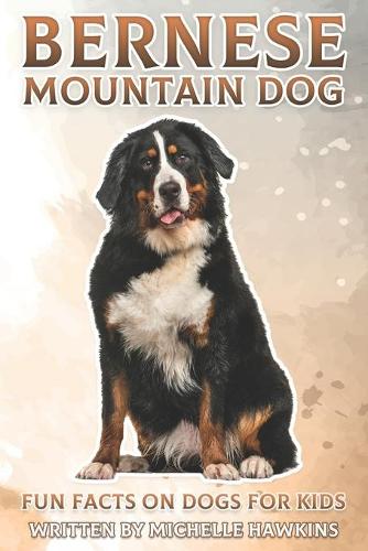 Bernese Mountain Dog