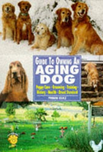 Guide to Owning an Aging Dog