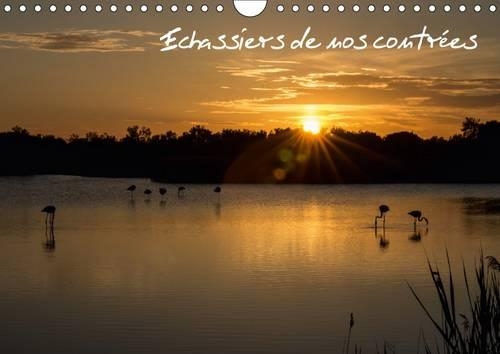 Echassiers De Nos Contrees 2017