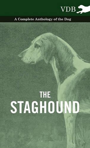 The Staghound - A Complete Anthology of the Dog