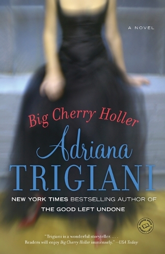Big Cherry Holler: A Novel(2 Big Stone Gap)