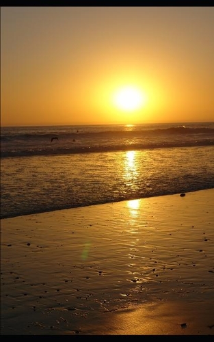 Now Is The Time: God Has A Plan For You(1 Chosen by God)