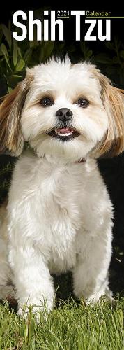 Shih Tzu 2021 Slim Calendar