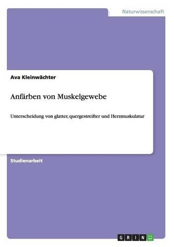 Anfärben von Muskelgewebe