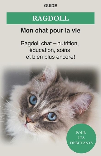 Ragdoll: Ragdoll chat - Nutrition, éducation, Soins et bien plus encore !