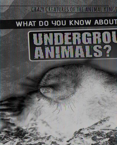 What Do You Know about Underground Animals?: (Crazy Creatures of the Animal Kingdom)