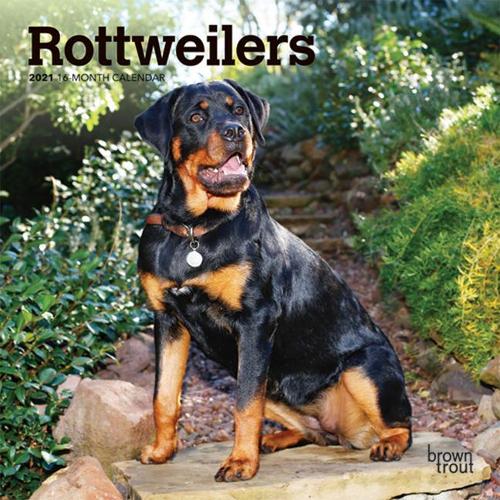 Rottweilers 2021 Mini 7x7