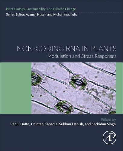 Non-coding RNA in Plants: Modulation and Stress Responses(Plant Biology, sustainability and climate change)