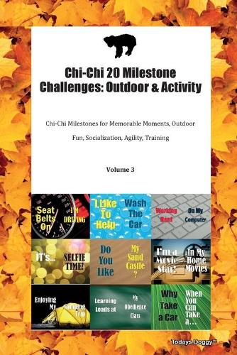 Chi-Chi 20 Milestone Challenges