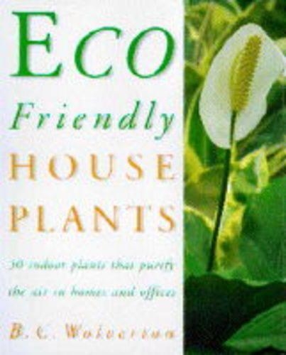 Eco-friendly Houseplants