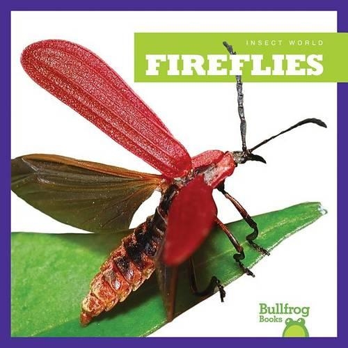 Fireflies: (Insect World)