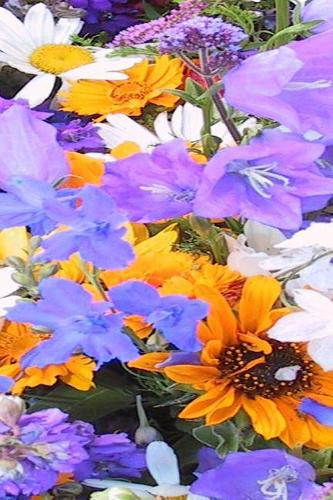 2019 Daily Planner Flowers Pretty Colorful Flower Garden 384 Pages