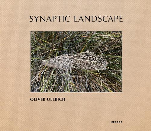 Synaptic Landscape: Oliver Ullrich