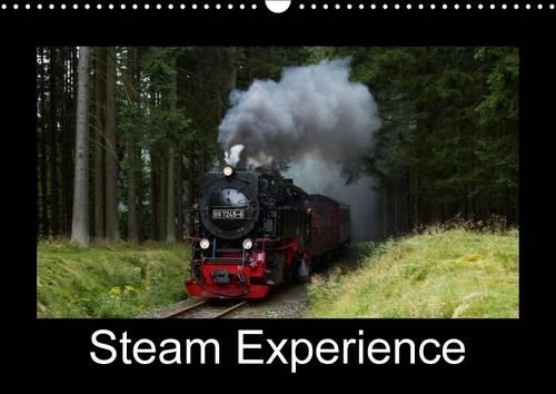Steam Experience 2016