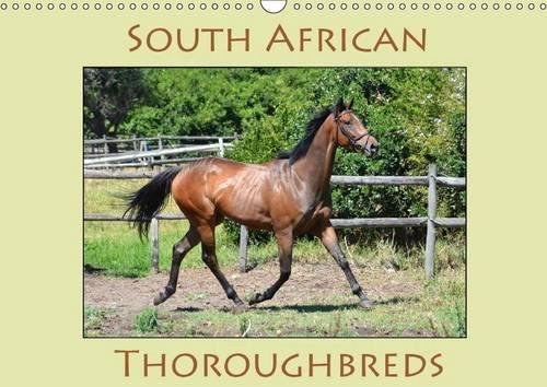 South African Thoroughbreds 2017: Photographs of South African Thoroughbred Horses(Calvendo Animals)