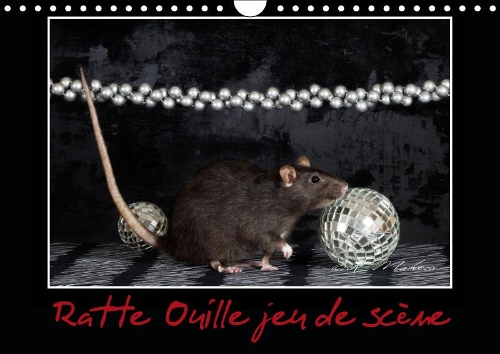 Ratte Ouille jeu de scène 2019