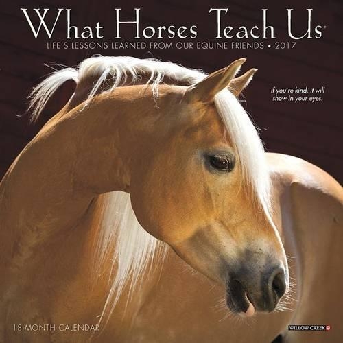 What Horses Teach Us 2017 Mini Wall Calendar