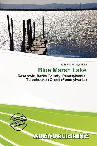 Blue Marsh Lake