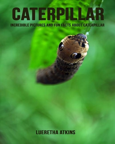 Caterpillar