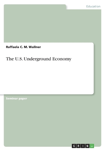 The U.S. Underground Economy