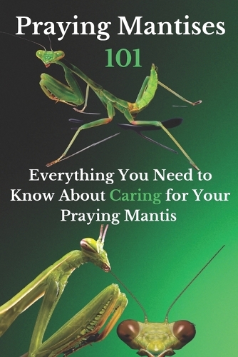 Praying Mantises 101