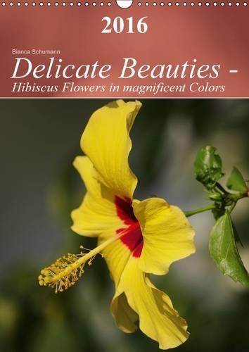 Delicate Beauties - Hibiscus Flowers in magnificent Colors 2016: Delicate hibiscus flowers in soft colors(Calvendo Nature)
