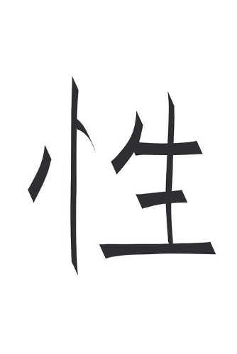 China Sex - Notizbuch, Notizblock, 120 Seiten, Souvenir Geschenk Buch, auch als Dekoration geeignet zum Geburtstag oder Weihnachten