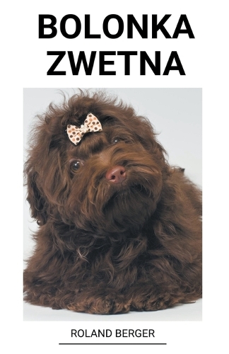 Bolonka Zwetna