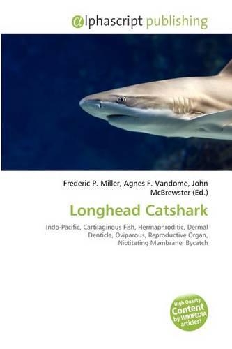 Longhead Catshark
