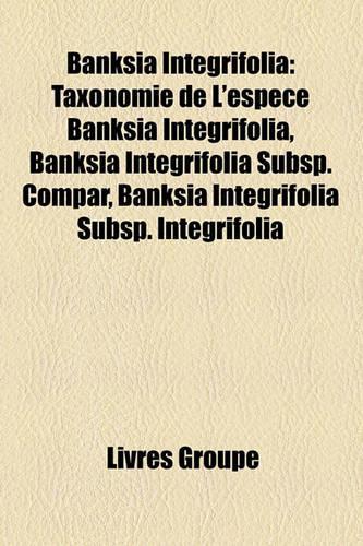 Banksia Integrifolia