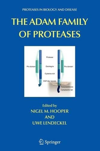 The Adam Family of Proteases
