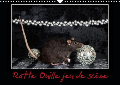 Ratte Ouille jeu de scène 2019