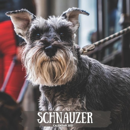 Schnauzer Calendar 2021: Dog Breed Calendar 2021, For Miniature Schnauzer Lovers