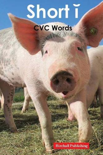 Vowels: Short i Vowel (CVC Words)