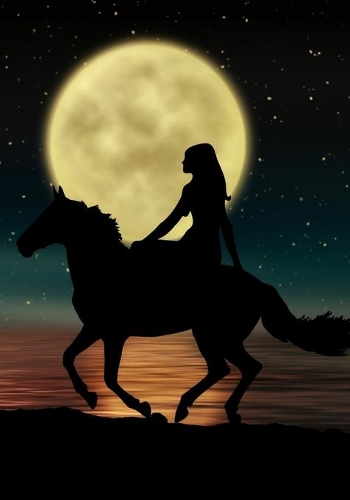 Mein Traumtagebuch: : Platz für 100 Träume / Liniert