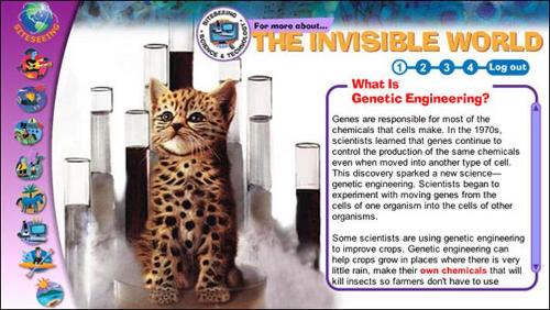 The Invisible World: (Infosteps)