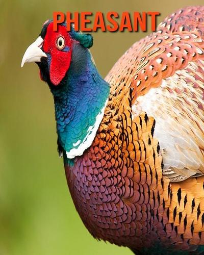 Pheasant