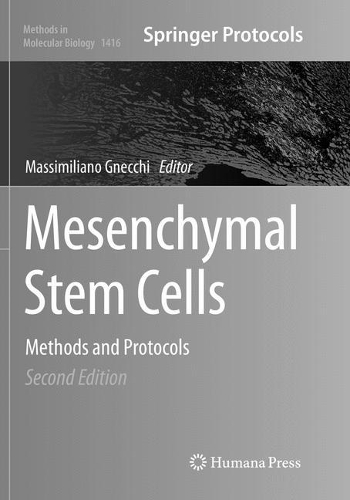 Mesenchymal Stem Cells