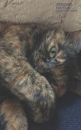 Two-Year Calendar Planner: Pocket Agenda Purse Size With Notes - 2 Year Organizer Sleepy Tortoise Kitty